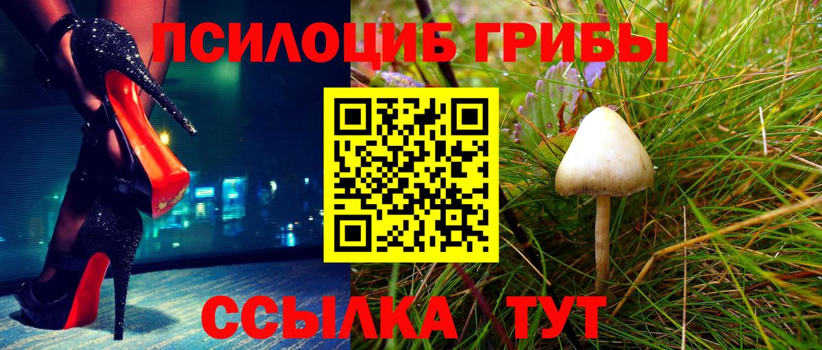 Псилоцибиновые грибы GOLDEN TEACHER Минусинск