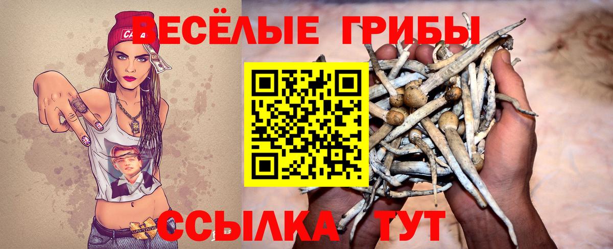 Минусинск  Псилоцибиновые грибы прущие грибы  Вход с VPN 